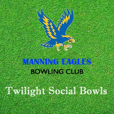 Twilight Social Bowls