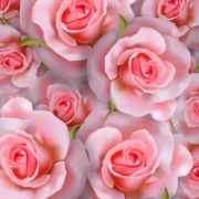 Pretty in Pink