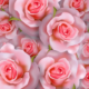 Pretty in Pink