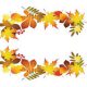 Autumn Gala Day