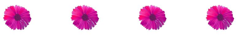 LADIES GALA DAY at MANNING BOWLING CLUB – FRIDAY 29th OCTOBER 2021